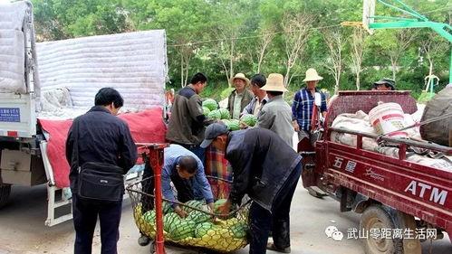 城关区吃瓜,品味夏日甜蜜时光