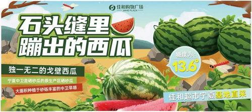 信之天吃瓜大赛,一场全民参与的夏日狂欢盛宴