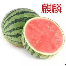 秘诀吃瓜,秘诀解锁美味瓜果新境界