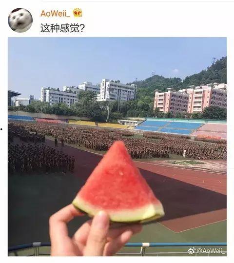 楼宇学姐吃瓜,揭秘校园八卦风云