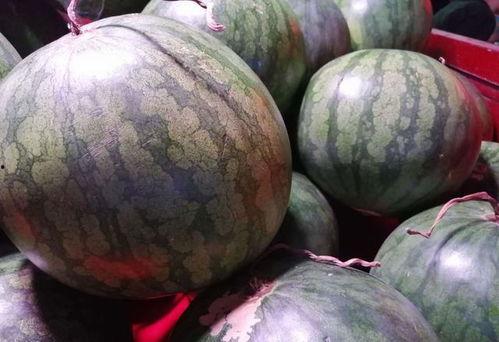 买瓜吃内脏,揭秘瓜农的生存智慧与生活哲学