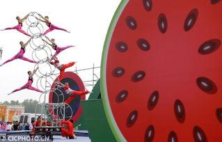 河南商丘夏邑吃瓜,探寻河南商丘夏邑的甜蜜瓜果文化