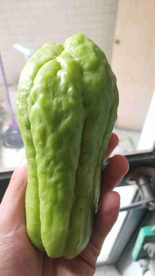 佛耳瓜怎么吃,探索美味与营养的完美融合